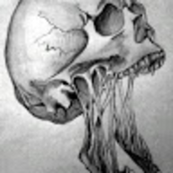 Meet your Posher, Darin - Picture 1 of 1